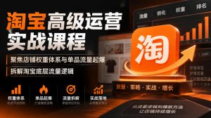 淘宝高级运营实战课程，聚焦店铺权重体系与单品流量起爆，拆解淘宝底层流量逻辑-大象聊项目