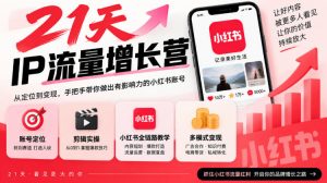 21天IP流量增长营,小红书全链路教学,账号定位剪辑实操,多模式变现系统课-大象聊项目