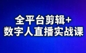 视频号、快手、抖音全平台剪辑+数字人直播实战课(更新)-大象聊项目