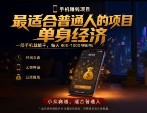 单身经济小众赛道,每天800-1000,一部手机就能干,最适合普通人的项目【揭秘】-大象聊项目