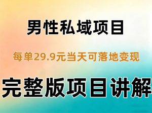 男性私域项目每单29.9,当天就能落地变现【不是S粉项目】详细拆解-大象聊项目