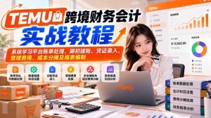 TEMU跨境财务会计实战教程:系统学习平台账单处理、期初建账、凭证录入、管理费用、成本分摊及报表编制-大象聊项目