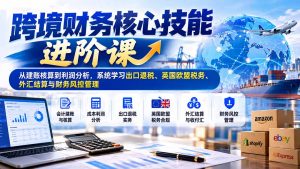 跨境财务核心技能进阶课:从建账核算到利润分析,系统学习出口退税、英国欧盟税务、外汇结算与财务风控管理-大象聊项目