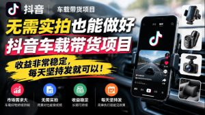 无需实拍也能做好抖音车载带货项目,收益非常稳定,每天坚持发就可以!-大象聊项目