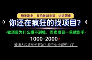 你还在疯狂的找项目?别傻了!卖项目才是真正的一本万利!怎么做,看完你全都明白!【揭秘】-大象聊项目