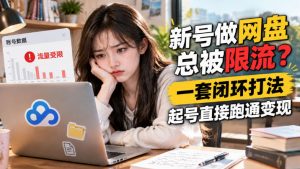 网盘拉新SOP：小白新号过限流-大象聊项目