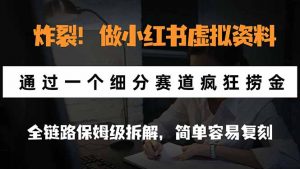 炸裂！做小红书虚拟资料，通过一个细分赛道疯狂捞金，全链路保姆级拆解，简单容易复刻-大象聊项目